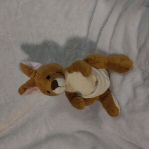 Webkinz Kangaroo